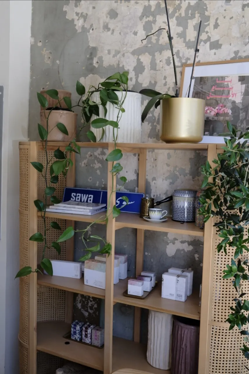 The Sawa shelf: plants, books and pantry goods